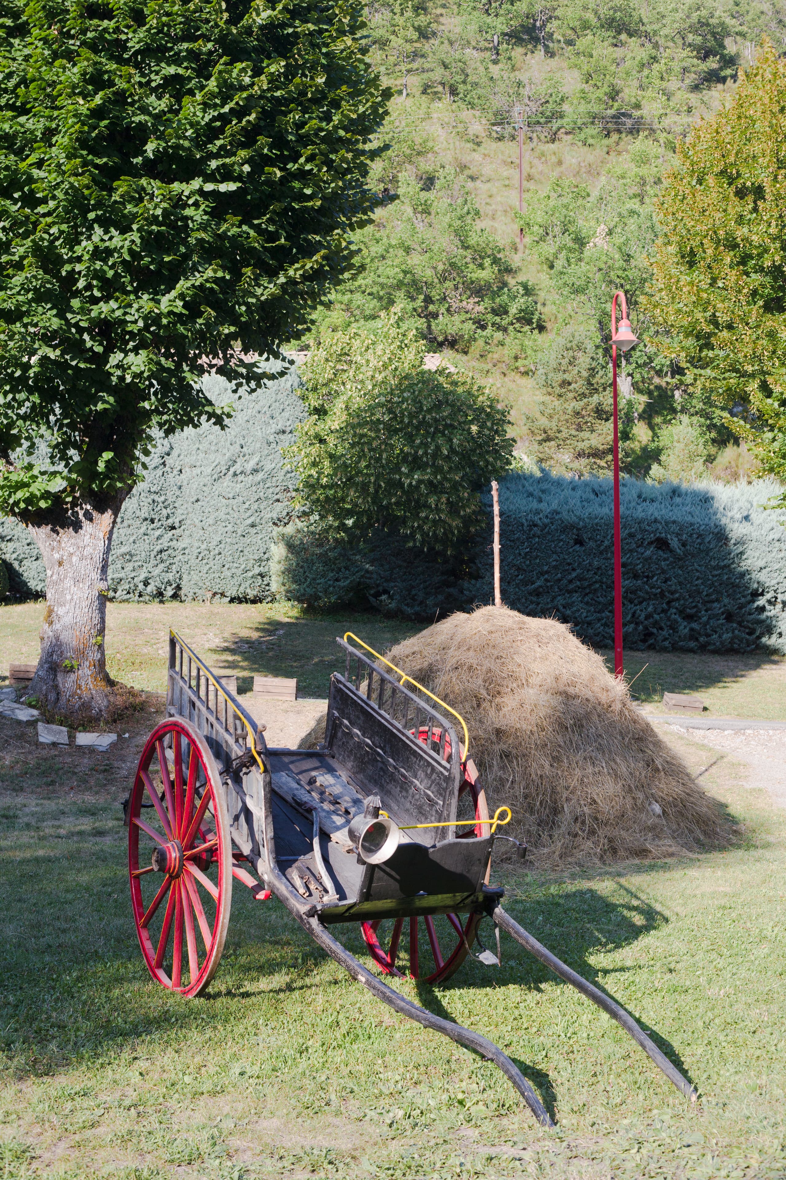 Bullock Cart Ride